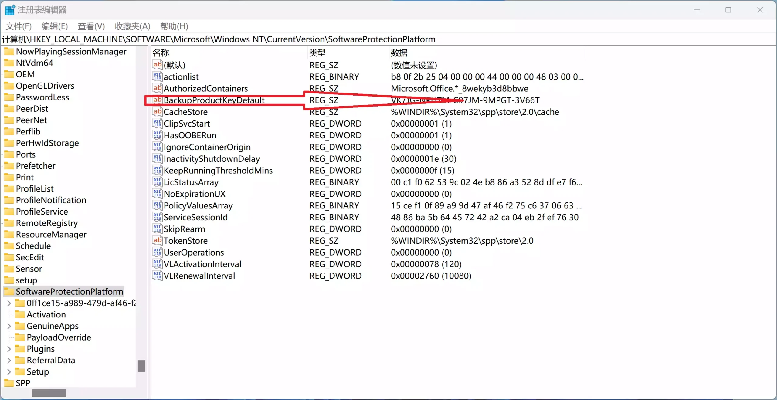系统查看 Windows 10 /11 激活密钥